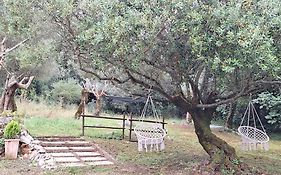 Moradia Rural De Charme Agradavel E Acolhedora