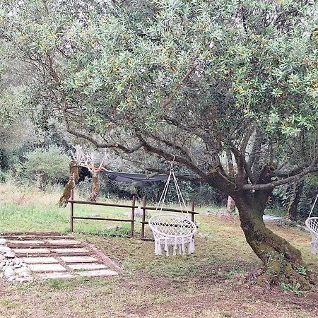 Moradia Rural De Charme Agradavel E Acolhedora Villa Arrimal Buitenkant foto