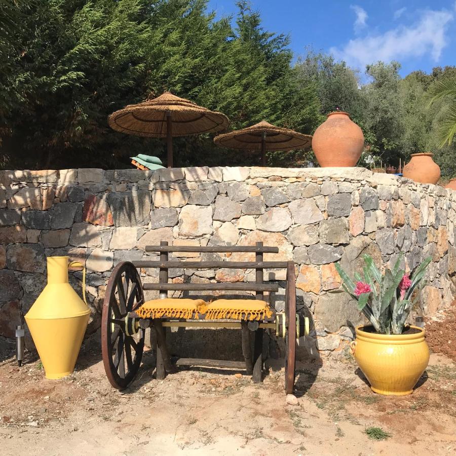 Moradia Rural De Charme Agradavel E Acolhedora Villa Arrimal Buitenkant foto