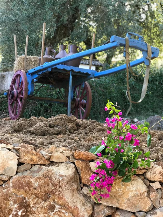 Moradia Rural De Charme Agradavel E Acolhedora Villa Arrimal Buitenkant foto