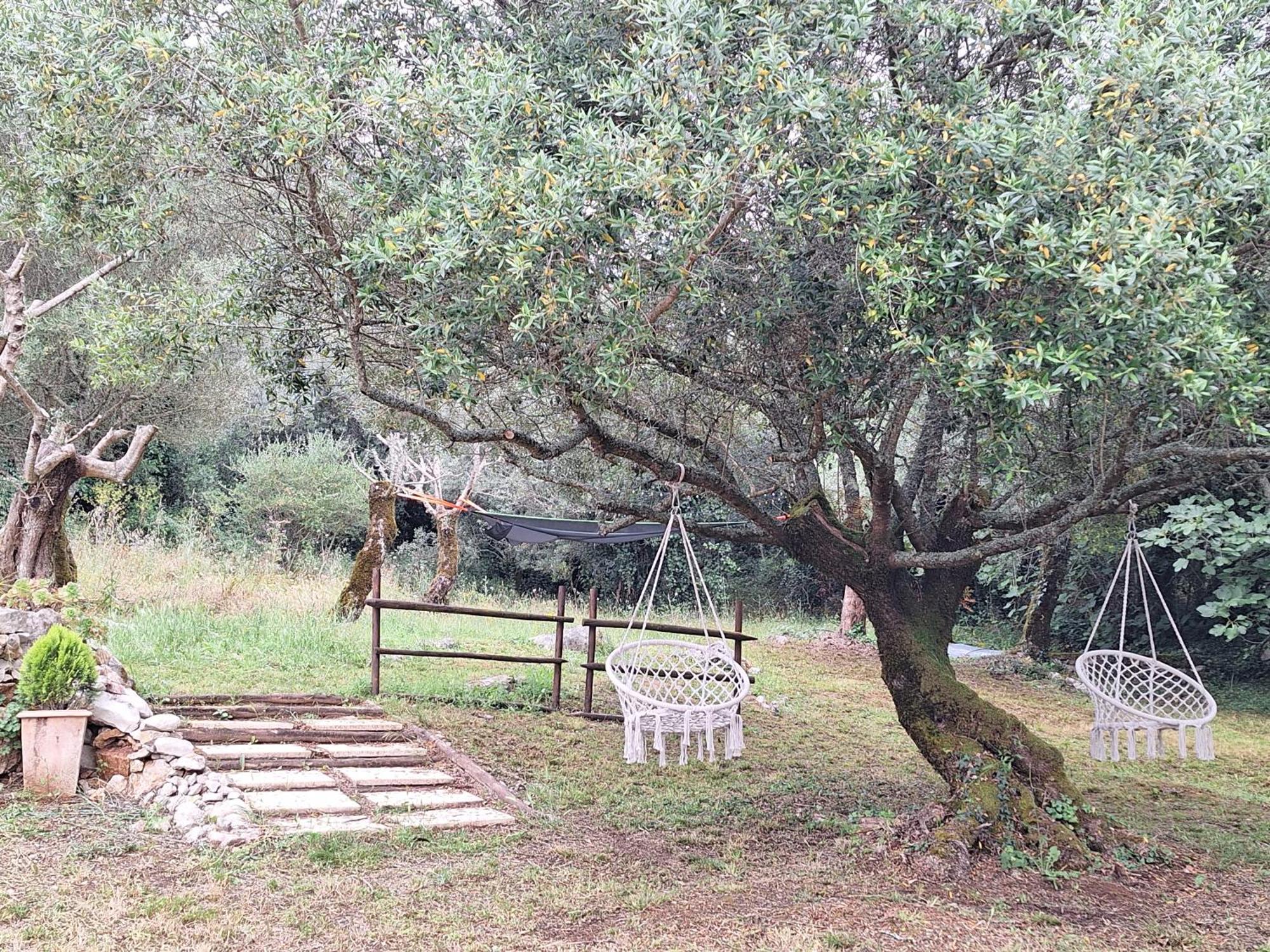 Moradia Rural De Charme Agradavel E Acolhedora Villa Arrimal Buitenkant foto